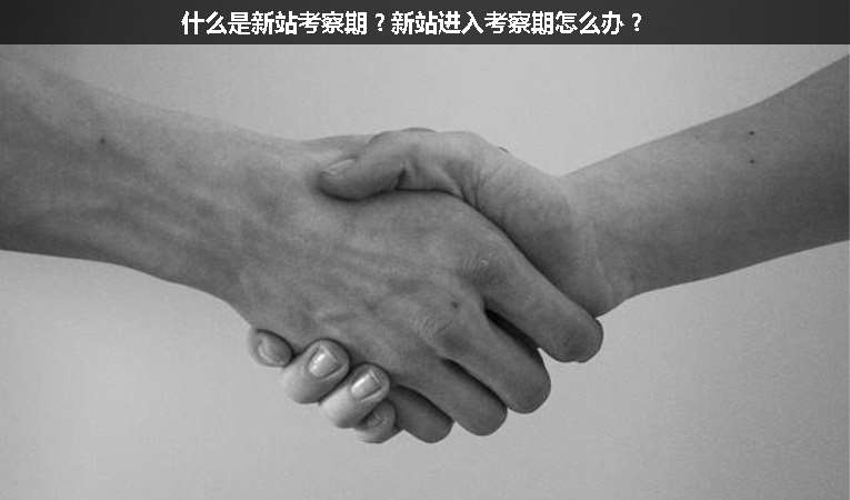 什么是新站考察期？新站進(jìn)入考察期怎么辦？